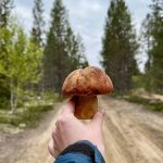 Погода в Мурманске сегодня