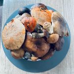 Наступил сезон грибов 🍄‍🟫