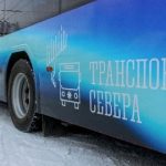 Автобус в Североморске значительно травмировал пожилую женщину