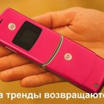 Возвращение раскладушек