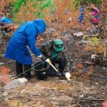 Две тысячи деревьев в честь памяти героев войны